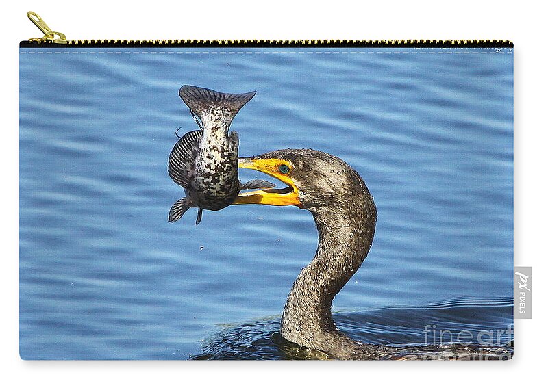 Double Crested Cormorant Zip Pouch featuring the photograph Prized catch by Barbara Bowen
