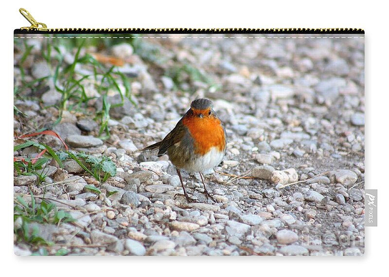 Bird Zip Pouch featuring the photograph Proud little bird by Rogerio Mariani