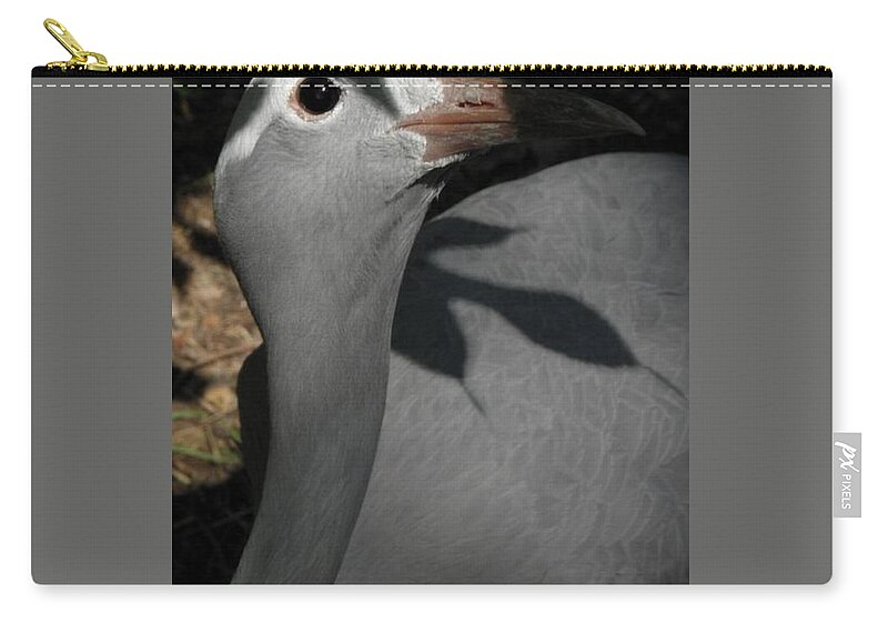 Bird Carry-all Pouch featuring the photograph psst I see you by Kim Galluzzo Wozniak