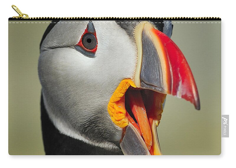 Atlantic Puffin Zip Pouch featuring the photograph Puffin Portrait by Tony Beck