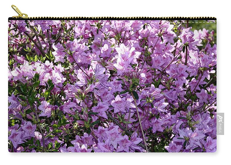 Purple Flower Shrub Zip Pouch featuring the photograph Purple Purple Every Where by Kim Galluzzo