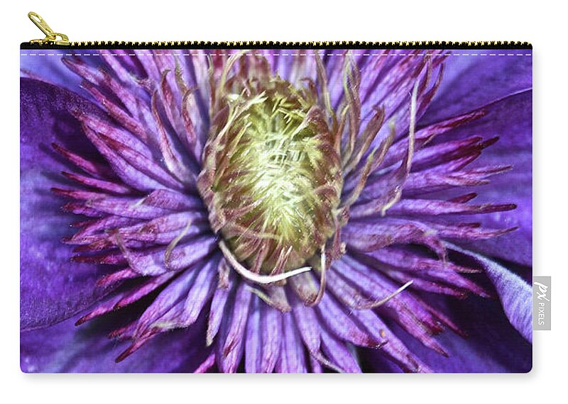Plant Zip Pouch featuring the photograph Purple Star by Susan Herber