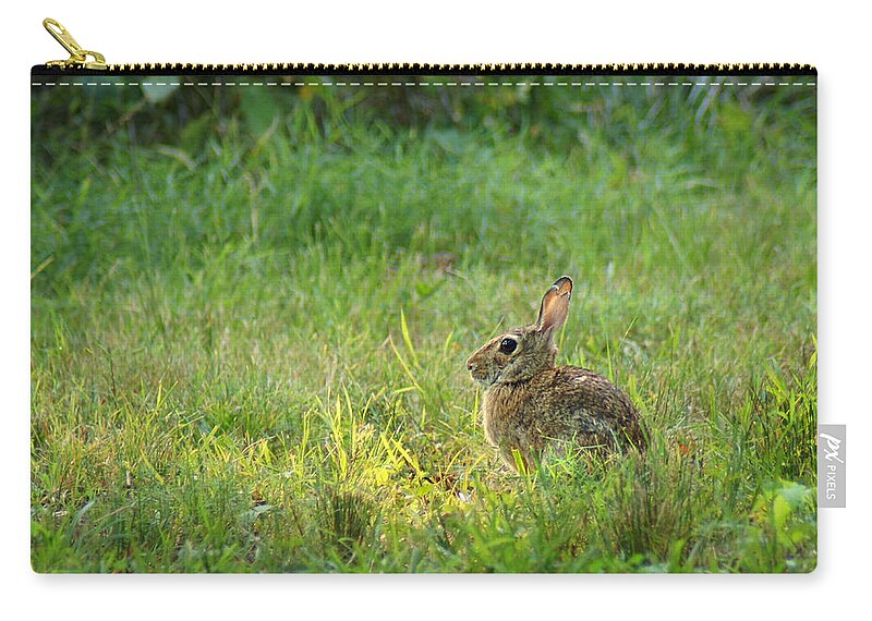 Wildlife Zip Pouch featuring the photograph Rabbit in the Clearing by Bill Pevlor