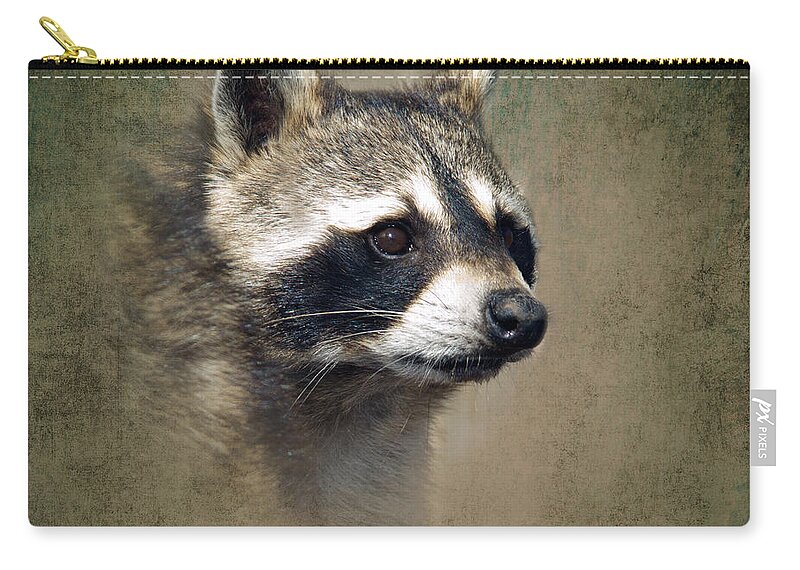 Raccoon Zip Pouch featuring the photograph Raccoon 1 by Betty LaRue