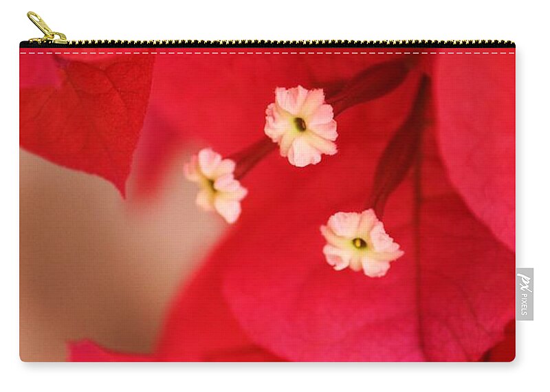 Bougenvilla Zip Pouch featuring the photograph Radish Red by Julie Lueders 