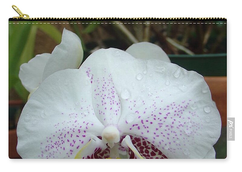 Rain Zip Pouch featuring the photograph Rain Drops on Orchid by Charles and Melisa Morrison
