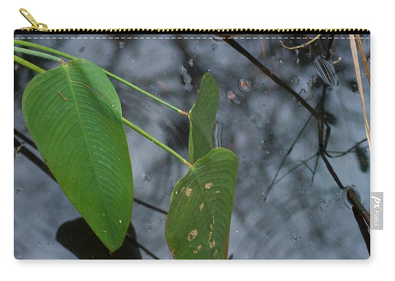 Ave Maria Zip Pouch featuring the photograph Rain by Joseph Yarbrough
