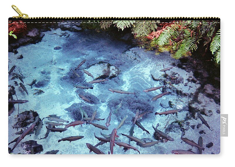 Rainbow Springs Zip Pouch featuring the photograph Rainbow Springs by Mark Dodd