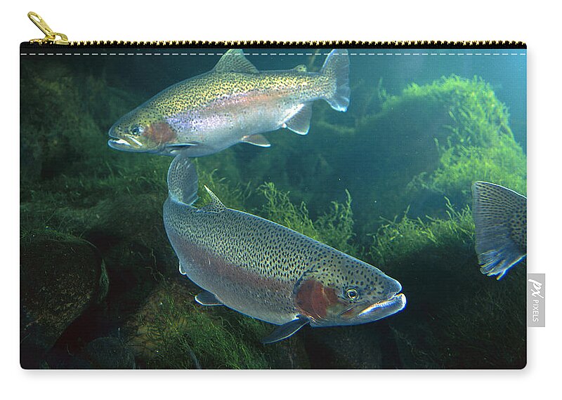 00640118 Zip Pouch featuring the photograph Rainbow Trout Pair by Michael Durham