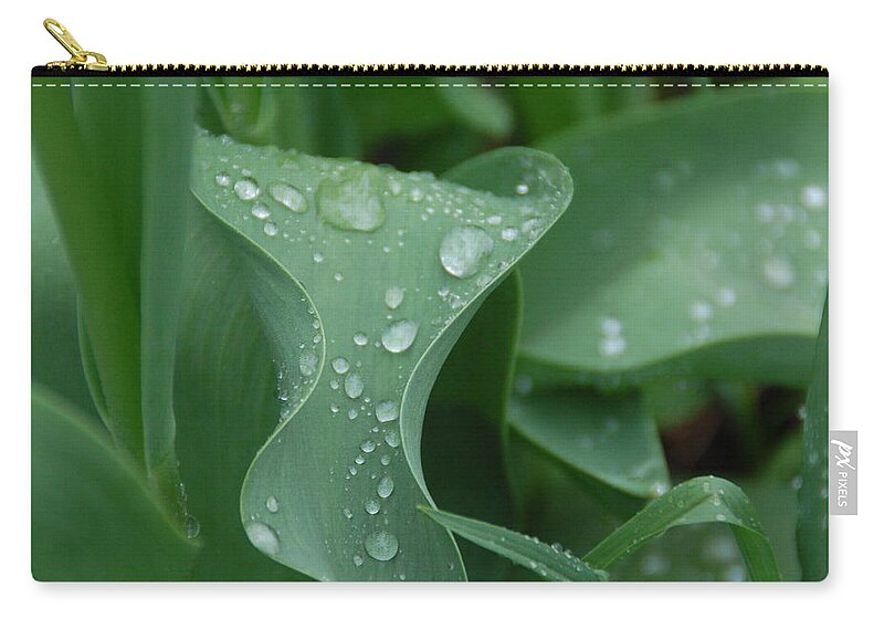 Leaf Zip Pouch featuring the photograph Raindrops by Aimee L Maher ALM GALLERY