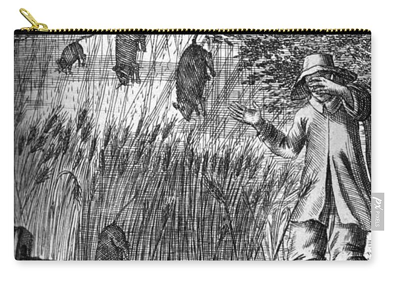 Science Zip Pouch featuring the photograph Raining Rats, 1680 by Science Source