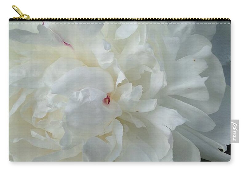 Flower Zip Pouch featuring the photograph Rarely Perfect by Joseph Yarbrough