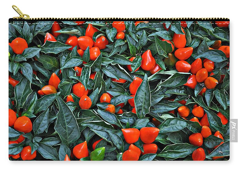 Red Zip Pouch featuring the photograph Red Hots by Mary Machare