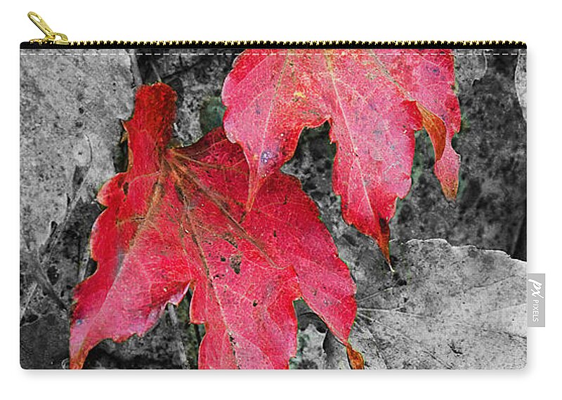 Fall Zip Pouch featuring the photograph Red Leaves by Jim And Emily Bush