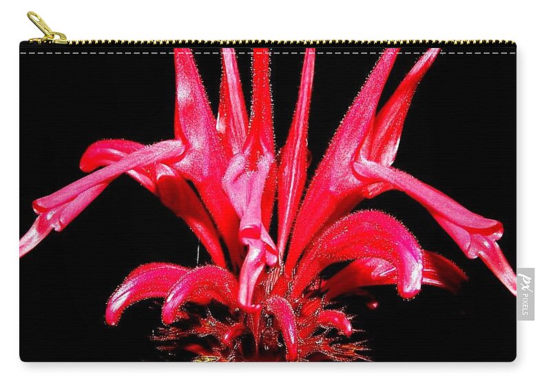 Red Zip Pouch featuring the photograph RED by Kim Galluzzo