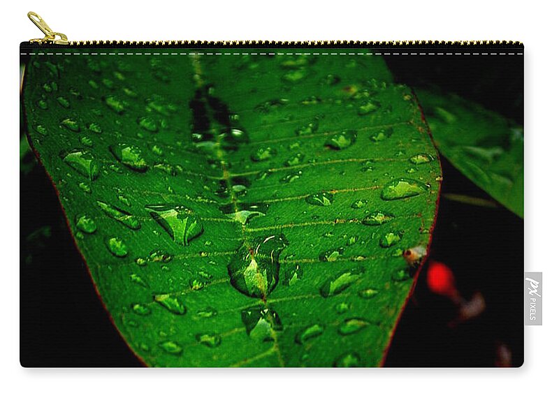 Leaf Zip Pouch featuring the photograph Refreshed by David Weeks