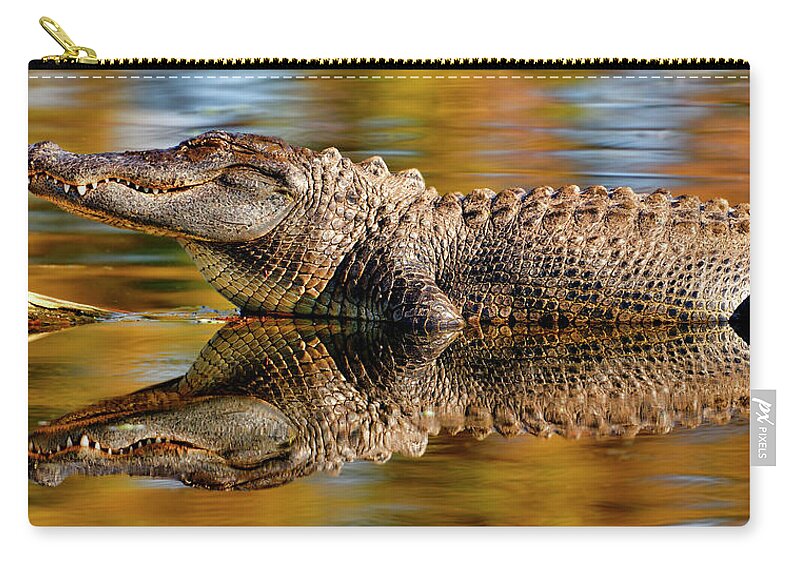 Reflection Zip Pouch featuring the photograph Relection of an Alligator by Bill Dodsworth
