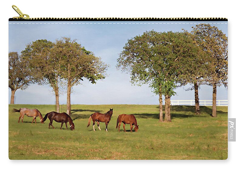 Animals Zip Pouch featuring the photograph Residents of Lazy E by Lana Trussell