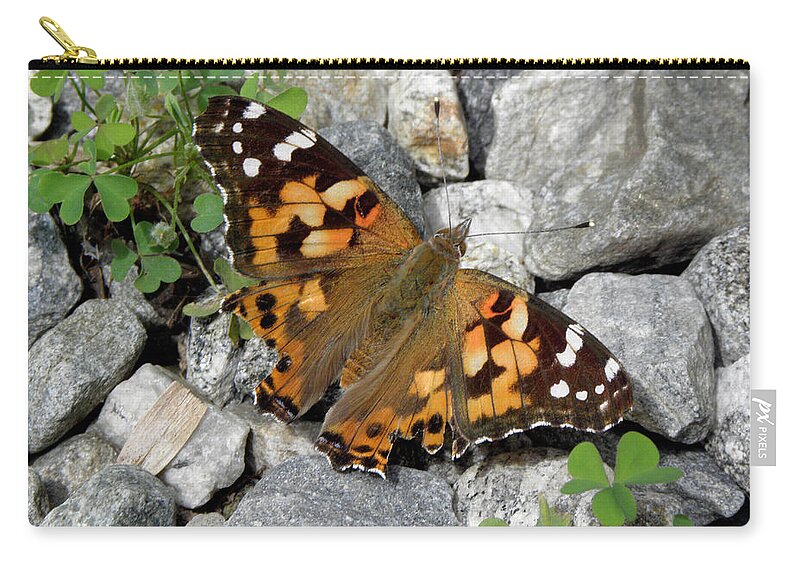 Butterfly Carry-all Pouch featuring the photograph Resting On Rocky Clovers by Kim Galluzzo Wozniak