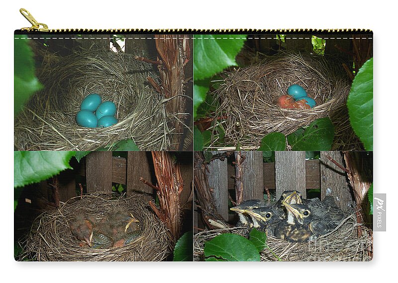 Animal Zip Pouch featuring the photograph Robins Nest by Ted Kinsman