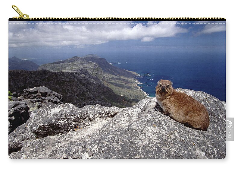 Mp Zip Pouch featuring the photograph Rock Hyrax Procavia Capensis Resting by Gerry Ellis