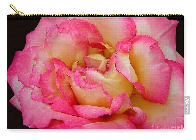 Floral Zip Pouch featuring the photograph Rose 2 by Mark Gilman