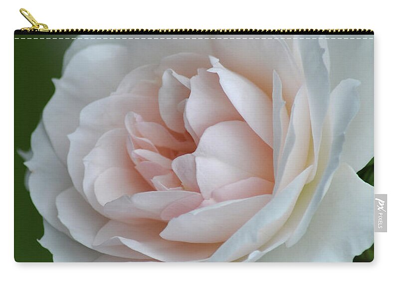 Pink Zip Pouch featuring the photograph Rose 8 by Vivian Christopher