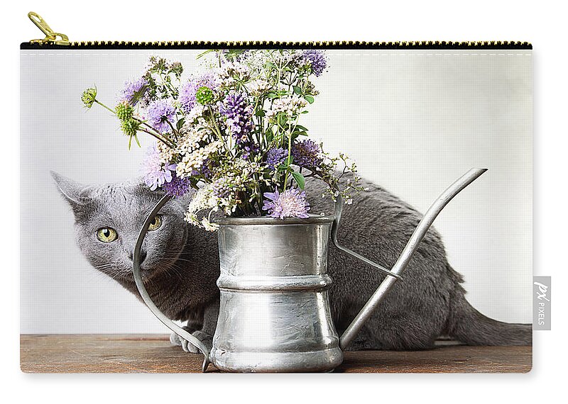 Cat Zip Pouch featuring the photograph Russian Blue 03 by Nailia Schwarz
