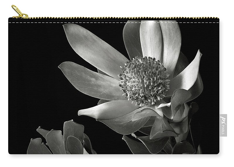 Flower Zip Pouch featuring the photograph Safari Sunset in Black and White by Endre Balogh