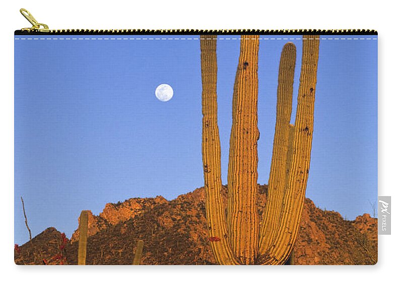 Mp Carry-all Pouch featuring the photograph Saguaro Carnegiea Gigantea Cactus by Konrad Wothe