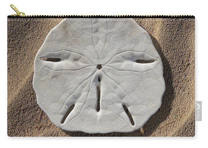 Sand Dollar Zip Pouch featuring the photograph Sand Dollar Tails by Mike McGlothlen