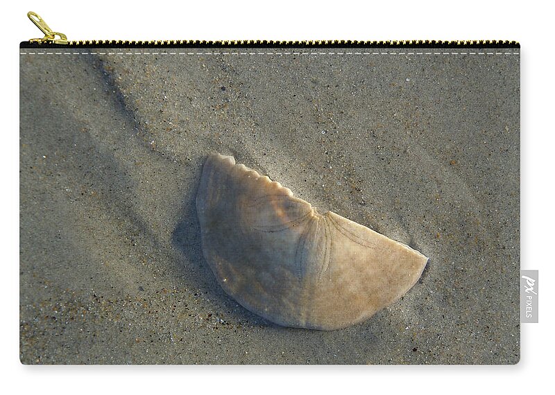 Sand Dollar Zip Pouch featuring the photograph Sandollar in Maine by Nancy Griswold