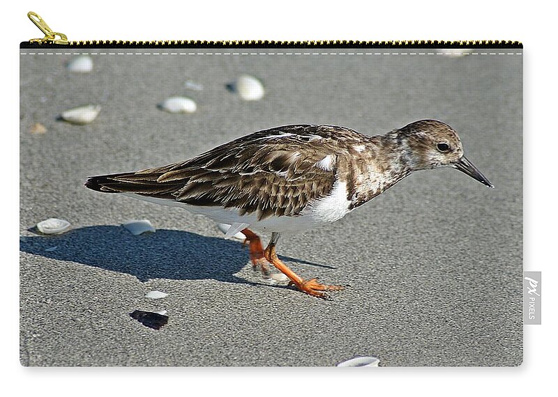 Sandpiper Zip Pouch featuring the photograph Sandpiper 9 by Joe Faherty
