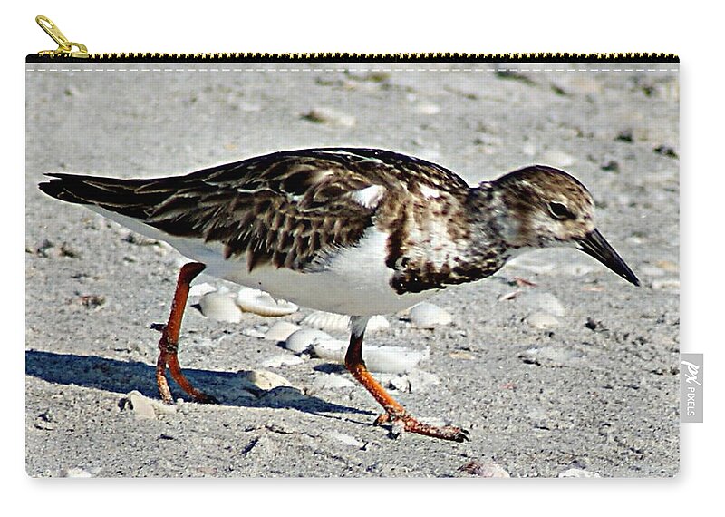Sandpiper Zip Pouch featuring the photograph Sandpiper II by Joe Faherty