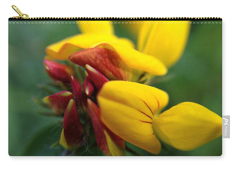 Macro Zip Pouch featuring the photograph Scotch Broom by Chriss Pagani