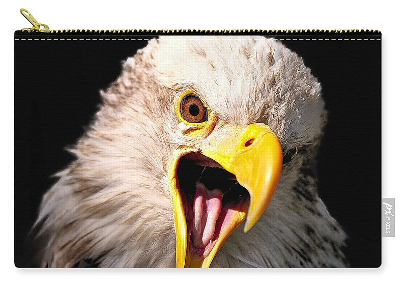  Zip Pouch featuring the photograph Screaming Eagle II Black by Bill Dodsworth
