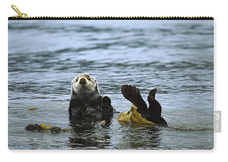 Mp Zip Pouch featuring the photograph Sea Otter Enhydra Lutris Wrapped by Konrad Wothe
