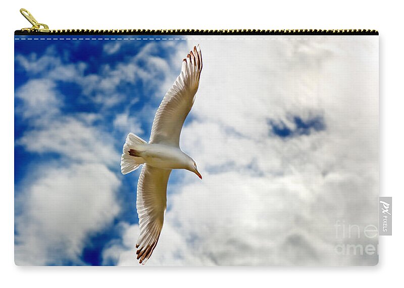 Seagul Zip Pouch featuring the photograph Seagul gliding in flight by Simon Bratt