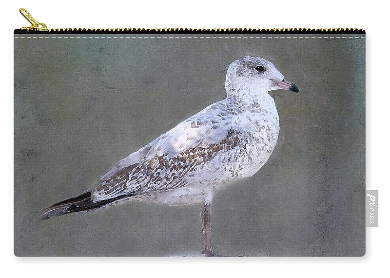 Seagull Zip Pouch featuring the photograph Seagull by Betty LaRue