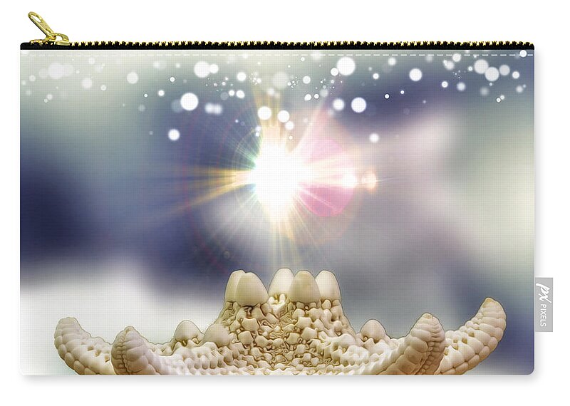Fantasy Zip Pouch featuring the photograph Seashell Splendor by Bill and Linda Tiepelman