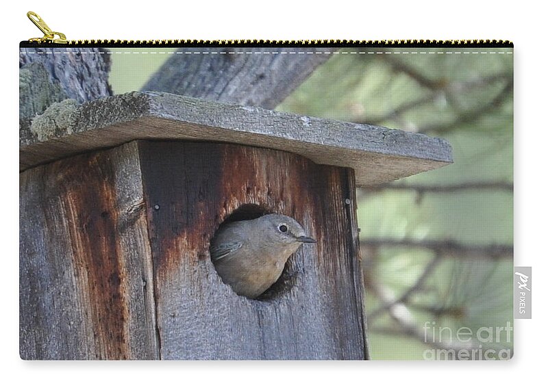 Bird Zip Pouch featuring the photograph She's Home by Dorrene BrownButterfield