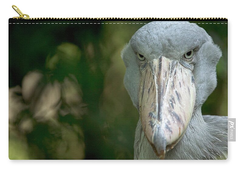 Mp Zip Pouch featuring the photograph Shoebill Balaeniceps Rex, Native by Cyril Ruoso