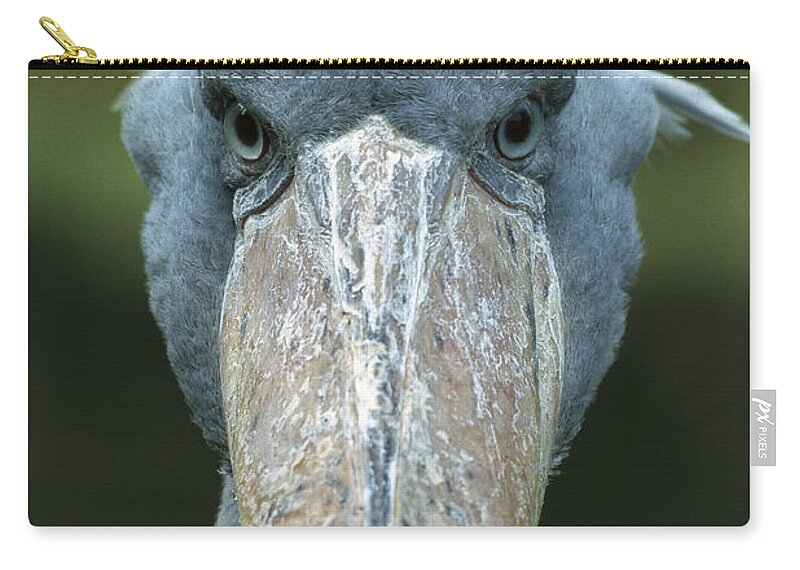 Mp Carry-all Pouch featuring the photograph Shoebill Balaeniceps Rex Portrait by Konrad Wothe