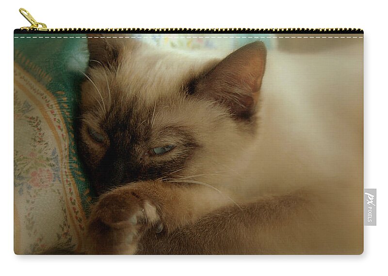 Pets Zip Pouch featuring the photograph Siamese Beauty by Caroline Stella