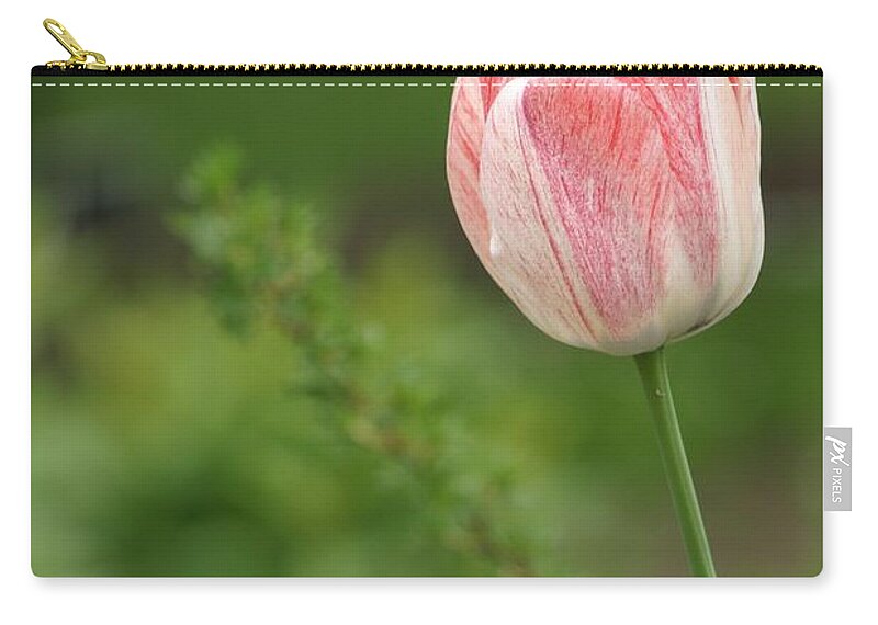 Flower Zip Pouch featuring the photograph Simply Spring by Living Color Photography Lorraine Lynch