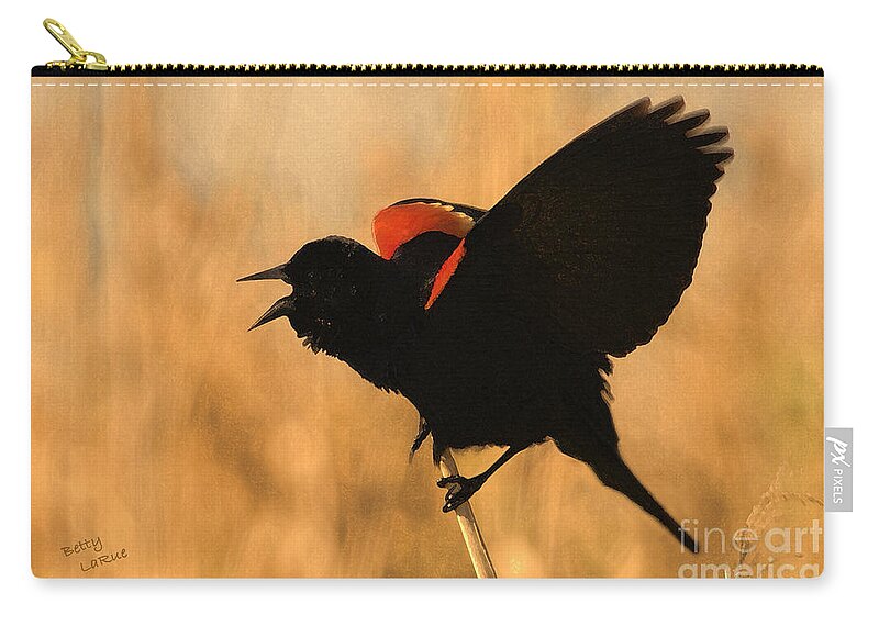 Red-winged Blackbird Zip Pouch featuring the photograph Singing at Sunset by Betty LaRue