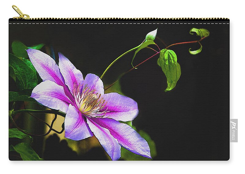 Climatis Zip Pouch featuring the photograph Single Climatis by Bonnie Willis