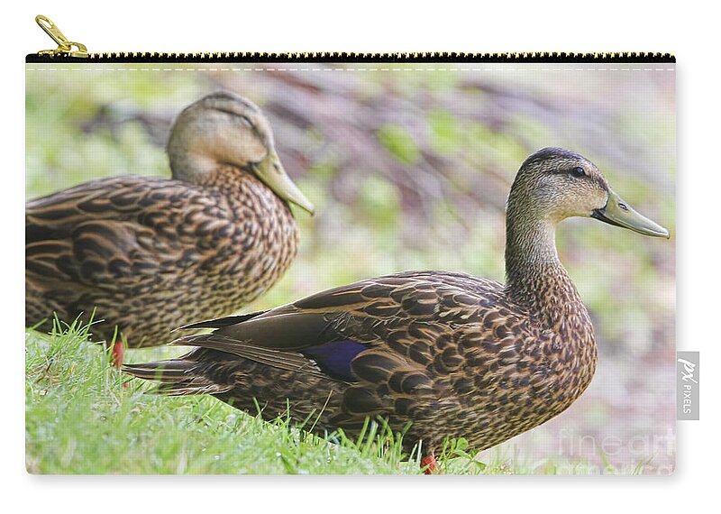 Ducks Zip Pouch featuring the photograph Sitting On The Bank by Deborah Benoit