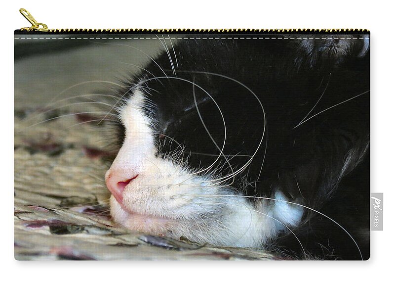 Cat Zip Pouch featuring the photograph Sleepytime by Art Dingo