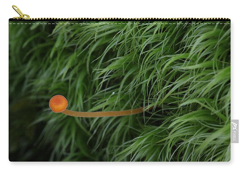 Nature Zip Pouch featuring the photograph Small Orange Mushroom In Moss by Daniel Reed